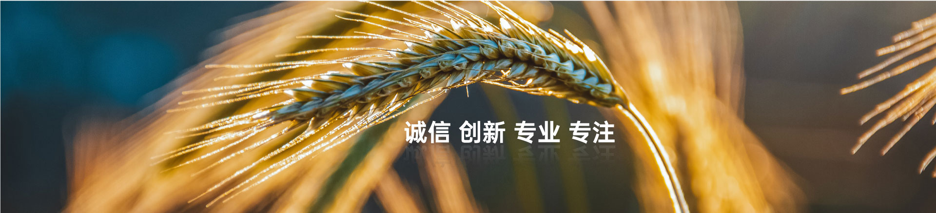 顧客至上，信譽第一